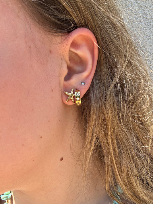 Boucles d’oreilles Mini Étoile de mer