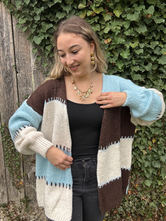 Gilet Trois Couleurs