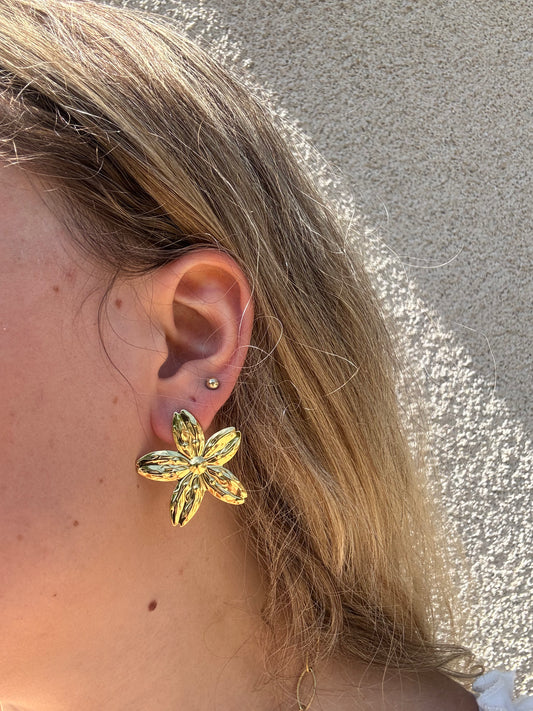 Boucles d’oreilles Iris