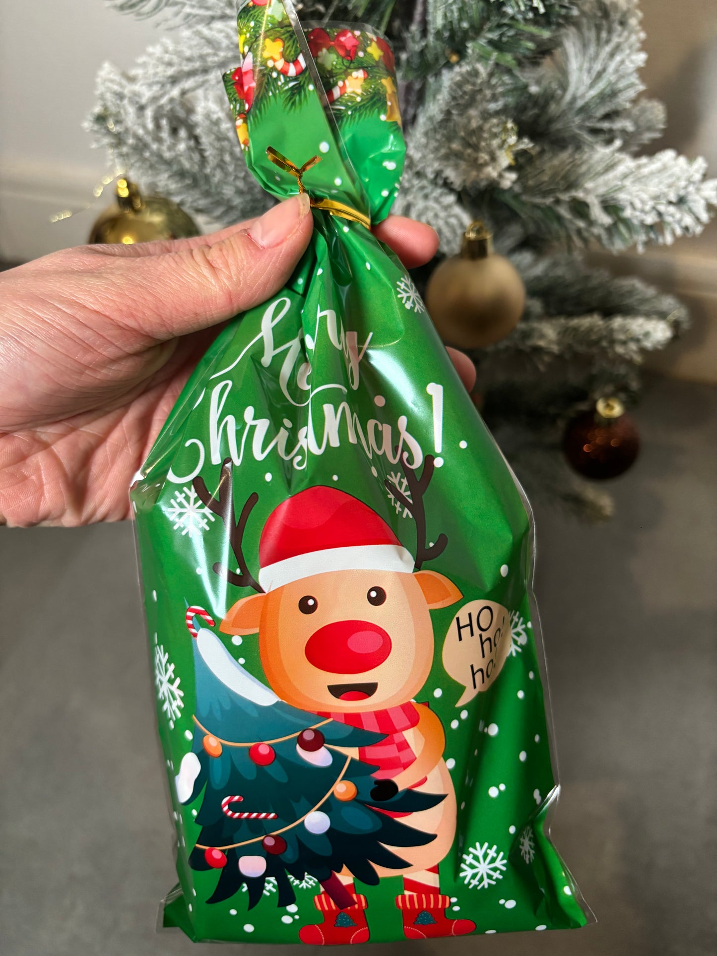Sachet Mystère Noël