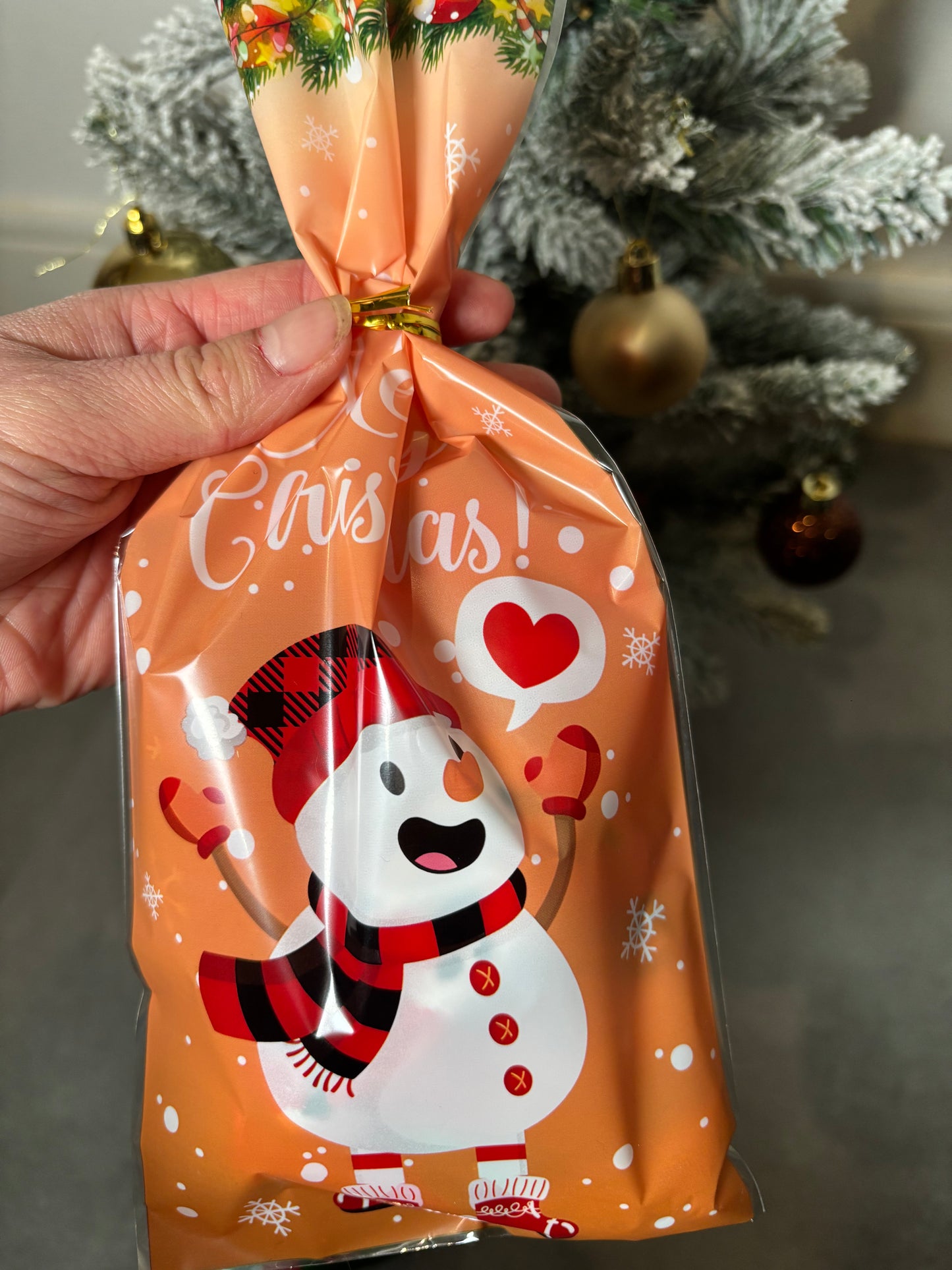 Sachet Mystère Noël