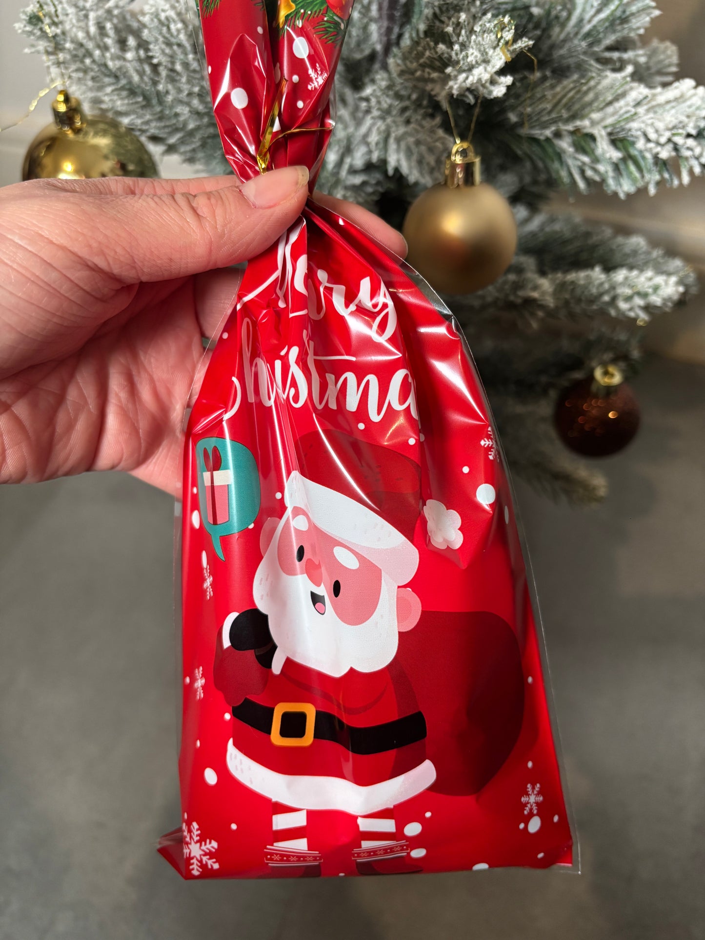 Sachet Mystère Noël